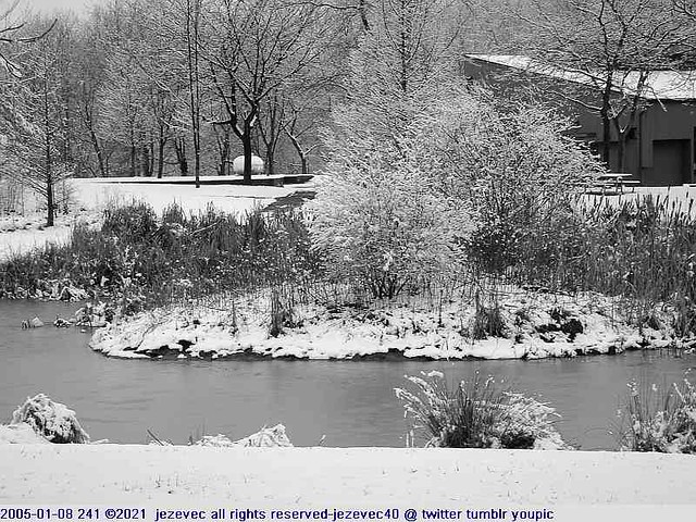 2005-01-08 241 Winter in Indiana - Southeastway Park [black & white]