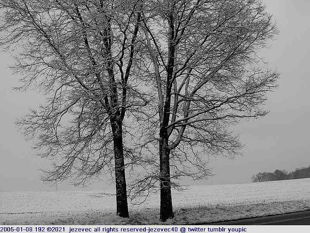 2005-01-08 192 Winter in Indiana - Southeastway Park [black & white]