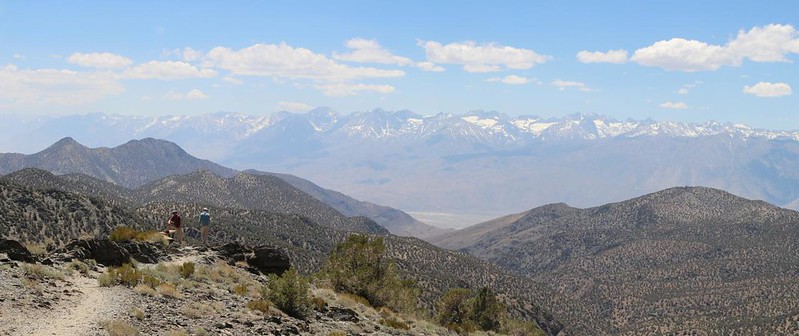 Panorama view of the High Sierra from the SIerra View Overlook on White Mountain Road in the Bristlecone Pine Forest
