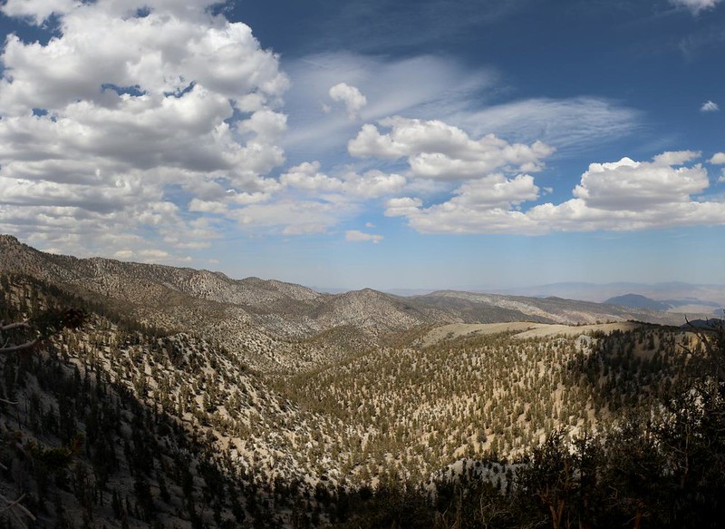 Looking north from the upper section of the Methuselah Trail in the Ancient Bristlecone Pine Forest