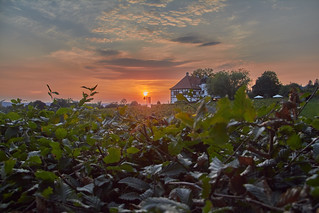 Sunset over Hoflößnitz