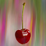 SIngle Cherry