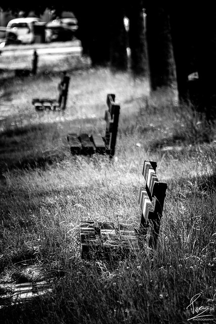 Black and white benches