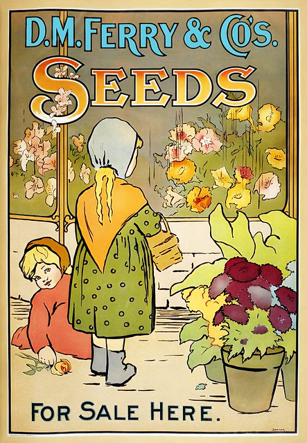 D. M. Ferry & Co's. Seeds