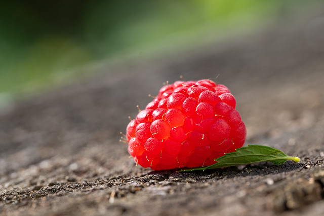 Tasty Raspberry - My entry for todays 