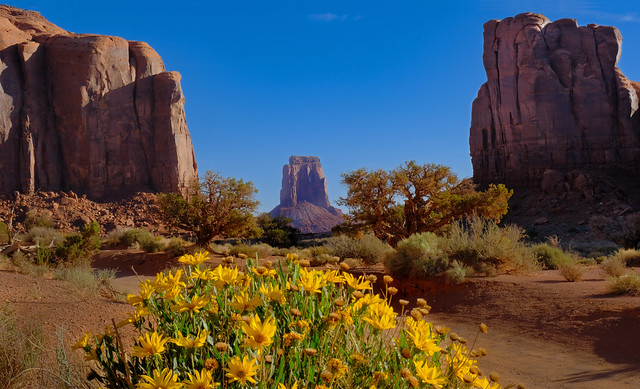 Flourishing in the Monument Valley
