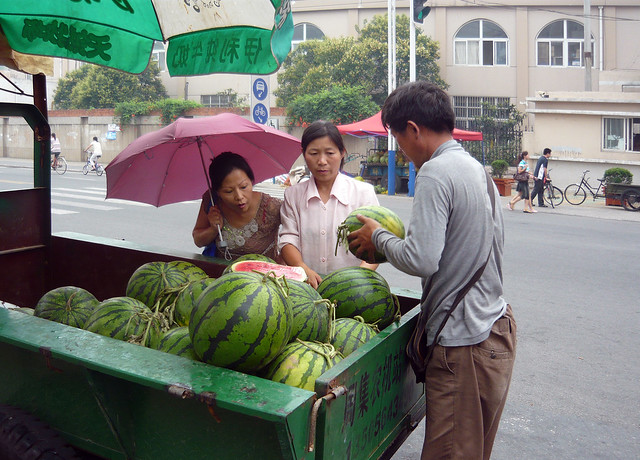 Inspecting the Watermelons