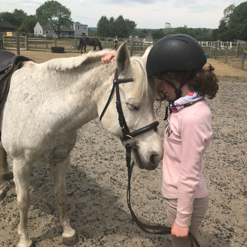 Red Mare Farm Horseback Riding Lessons