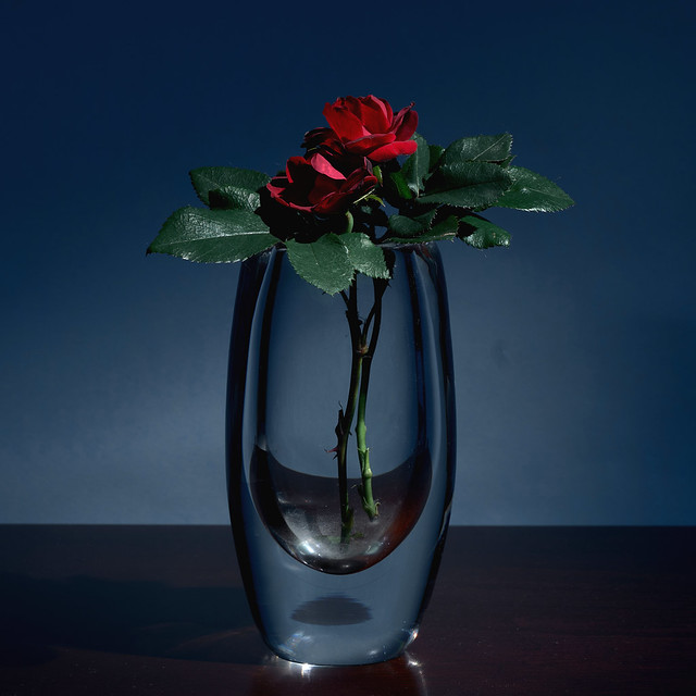 knockout roses in a crystal vase
