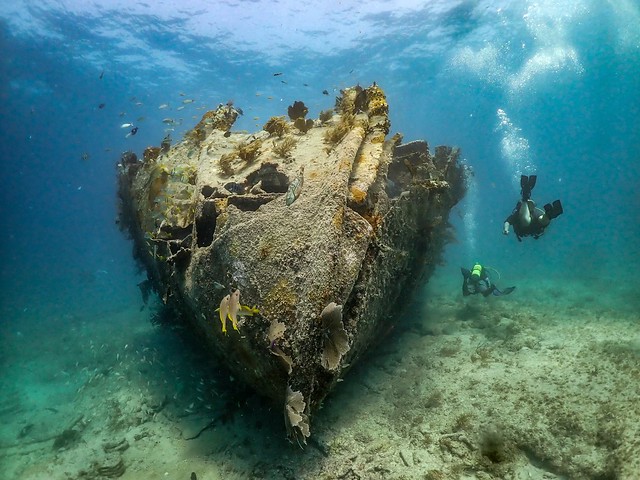 17 JUNE 2022 NIGHT Dive Benwood Shipwreck