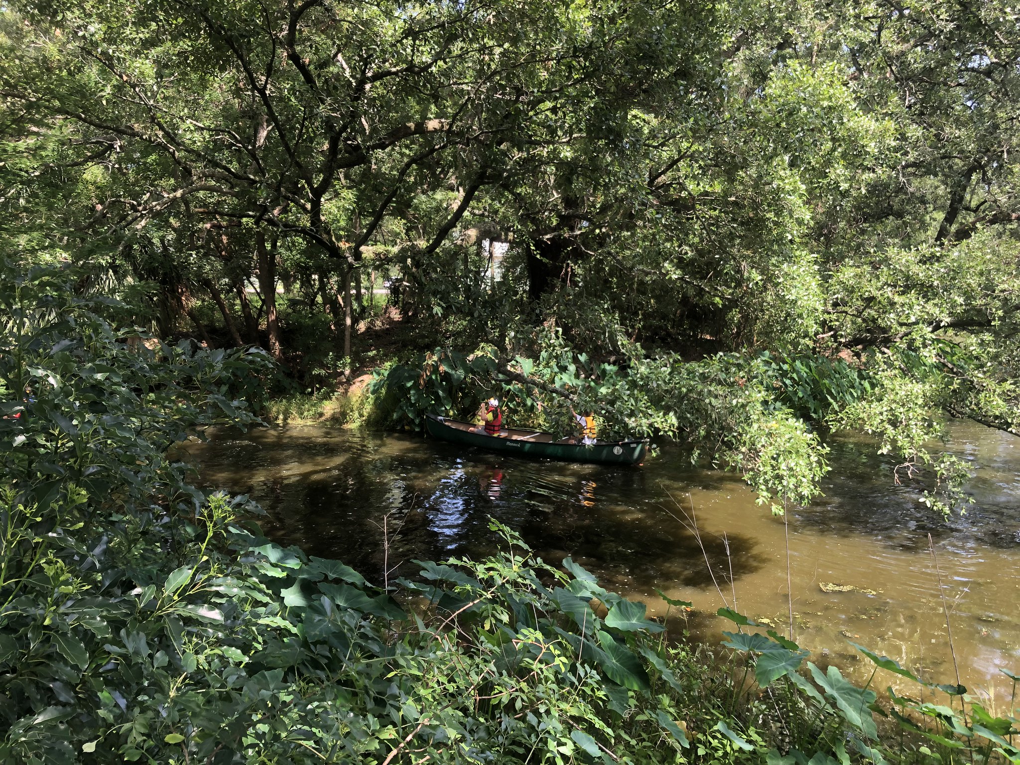 Camp LOOP Garou - Week 2
