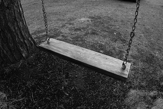 0155 - Tree Swing