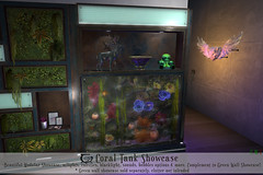 New This Month At The Access Birthday Round From Cerridwen’s Cauldron! Stunning Coral Tanks For Your Homes!