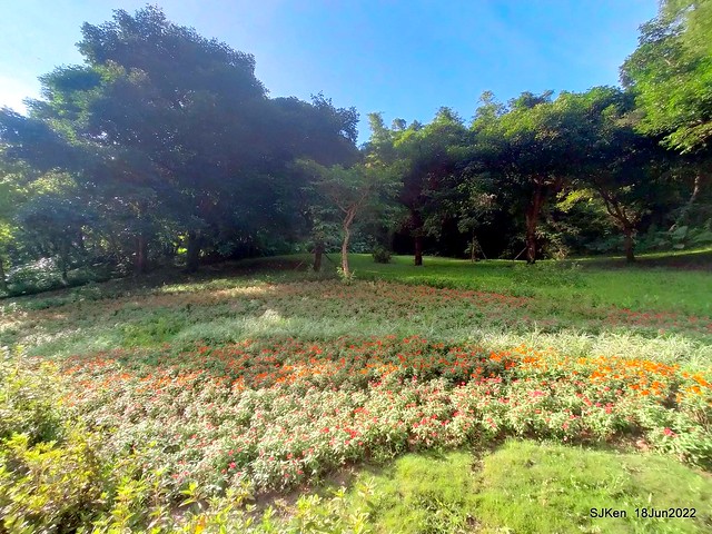 南港「新南綠地」(Xinnan Greens park), Nangang, Taipei, Taiwan, SJKen, Jun 18, 2022.