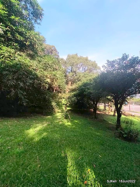 南港「新南綠地」(Xinnan Greens park), Nangang, Taipei, Taiwan, SJKen, Jun 18, 2022.