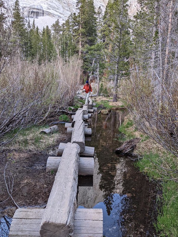 Crossing Lone Pine Creek on the log bridge on the Mount Whitney Trail - the water level was low in May 2022