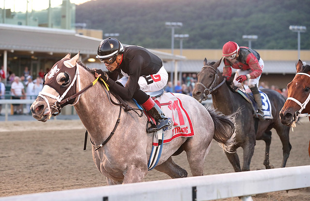Ny Traffic won the Chocolate Town Stakes. Photo by Bill Denver/EQUI-PHOTO.