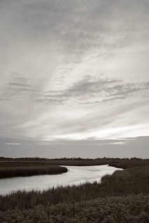 Morning light, salt marsh (2)