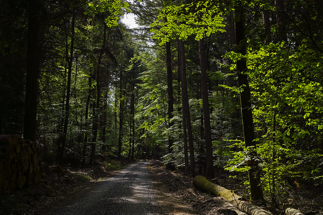 Odenwald, Germany