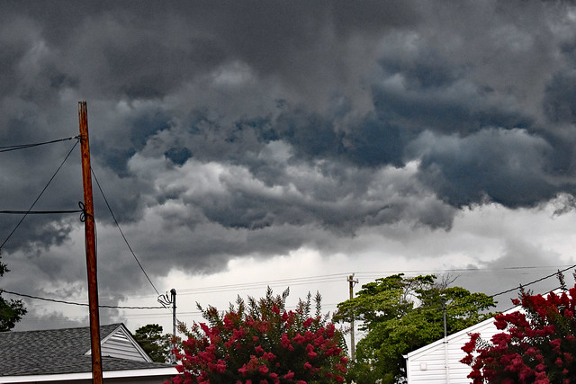 Storm Clouds Above The Neighbor's Crepe Myrtles.