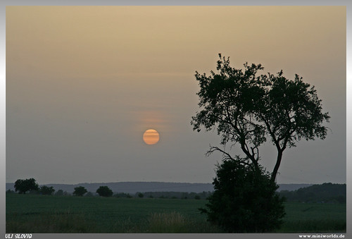 Sunset on June 18, 2022. by uslovig, Sonnenuntergang am 18. Juni 2022.sonnenuntergang sunset sundown sonne sun baum tree himmel sky schön