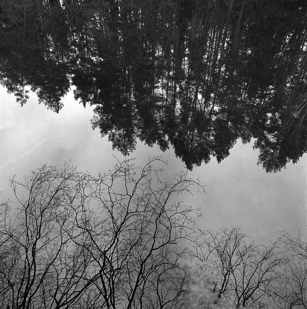from the series: water like a mirror will always tell the truth.