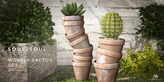 Soul2Soul. Wobbly Cactus Set GIFT at Holiday Shop & Hop 2022
