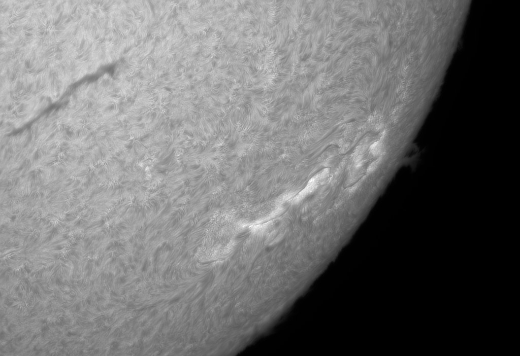ar13031-DS90-2x-cemax-zwo290mm-bw