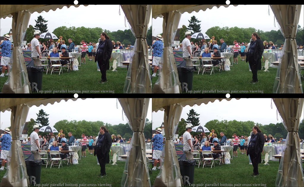 Image from Chislehurst Rocks 2022 in Cross and parallel view 3D