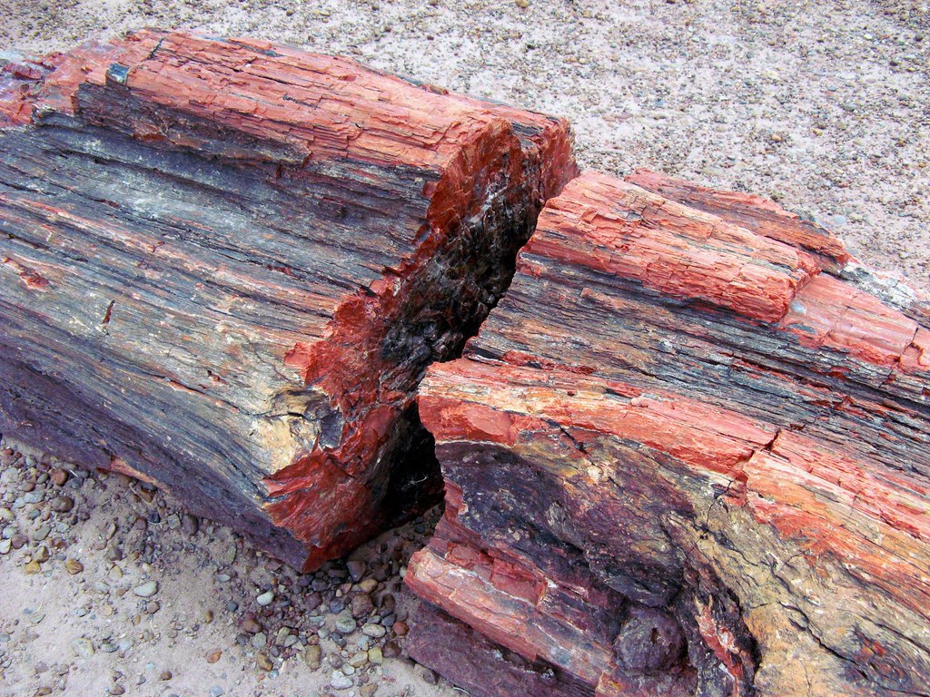 Pygery Rocks Southwest Vacation 2008 | Flickr