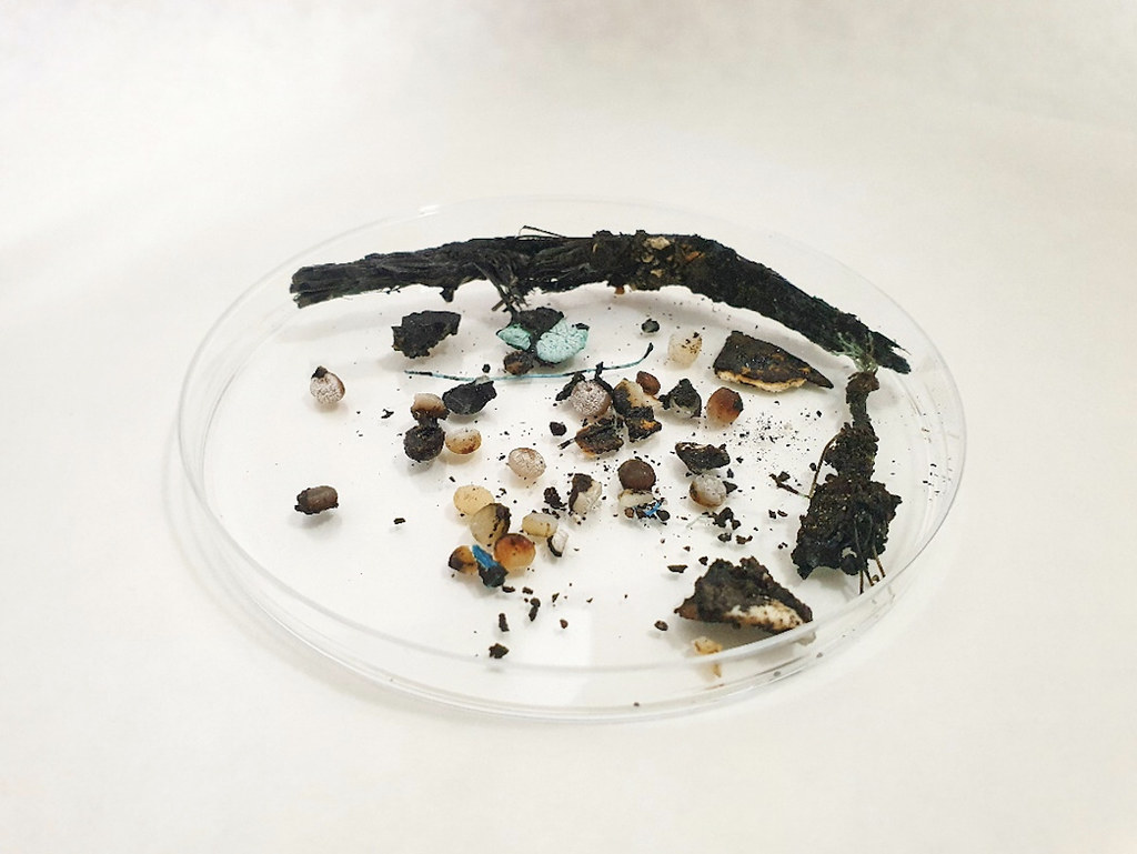 在焦油塑膠中發現許多不同材質的殘留物。圖片來源：Universidad de La Laguna