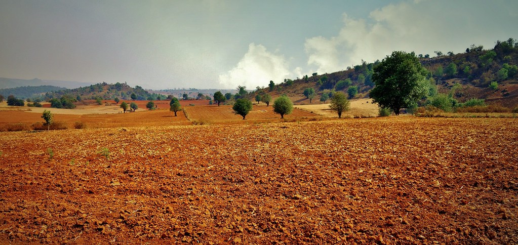 MYANMAR, Burma -  auf dem Weg nach Pindaya,  Gelb,braun und ockerfarbige Felder und Äcker, 78905/20805