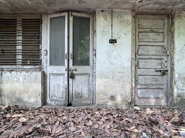 City Home – Ruined Bungalow, Somewhere in Delhi – The Delhi Walla