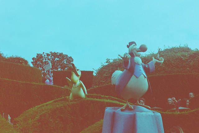 Disneyland Paris Alice in Wonderland maze