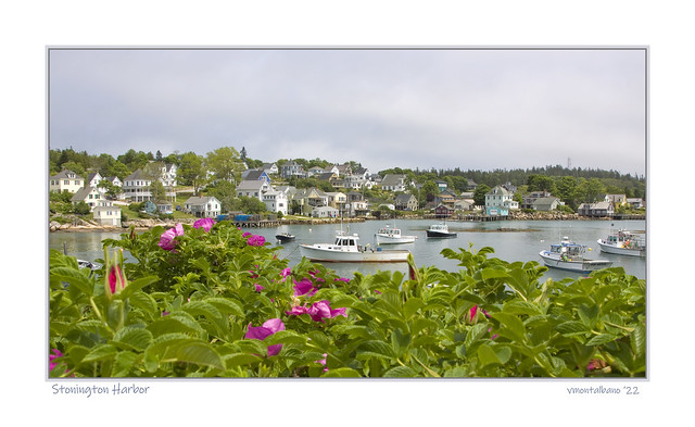 Stonington Harbor (zoom in to see the harbor houses in the background)