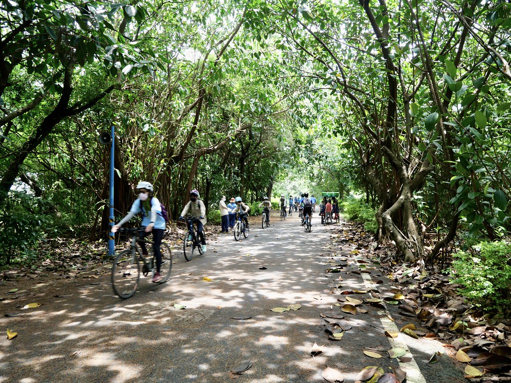 新屋綠色隧道 漂流木公園