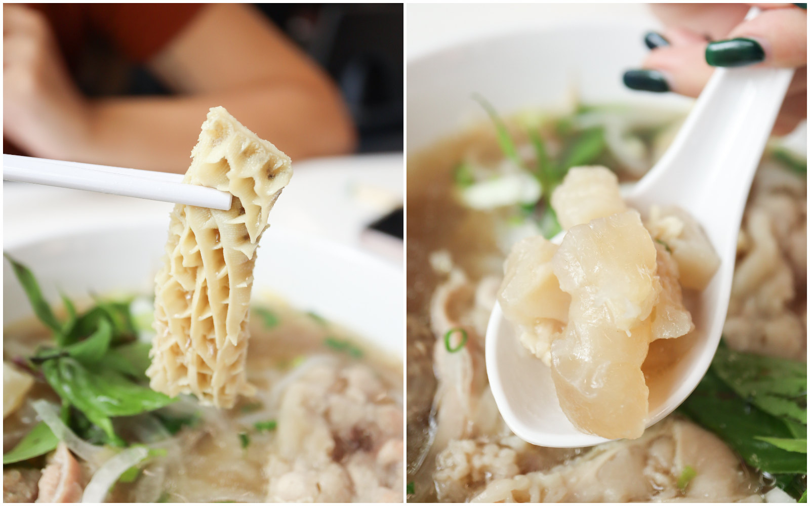 Chef Minh Vietnamese Pho - tripe and tendon collage