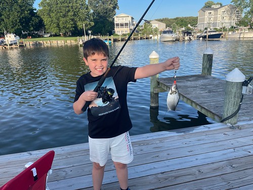 Photo of boy on a dock holding a fish