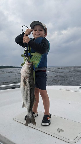 Photo of boy holding a striped bass