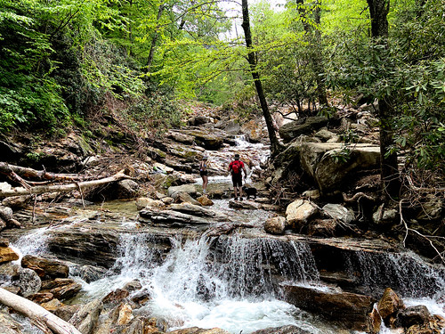 waterfalls skinnydipfalls topaz pse northcarolina rocks gorge stream hikers dog