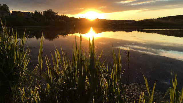 Andrey Medvedev Rural pond. Sunset in June.