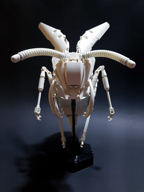 The White Wasp