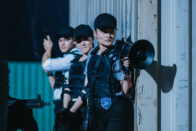Special Force Anarchy Still 4
