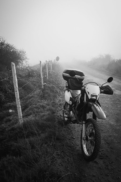 Foggy Ride