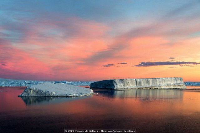 Icebergs at Dawn