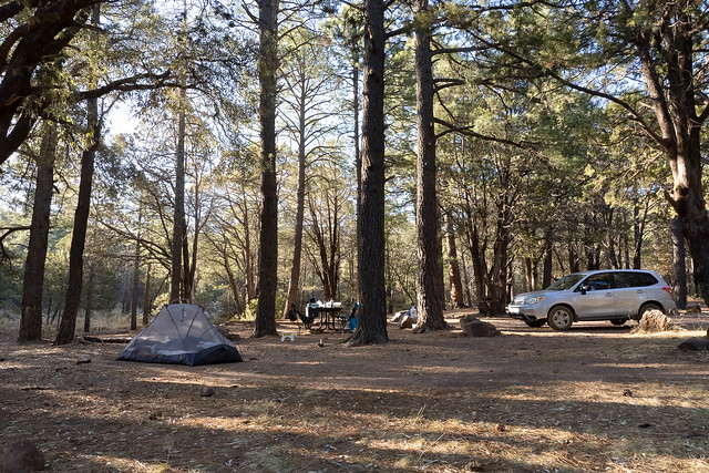 Reef Townsite Campground