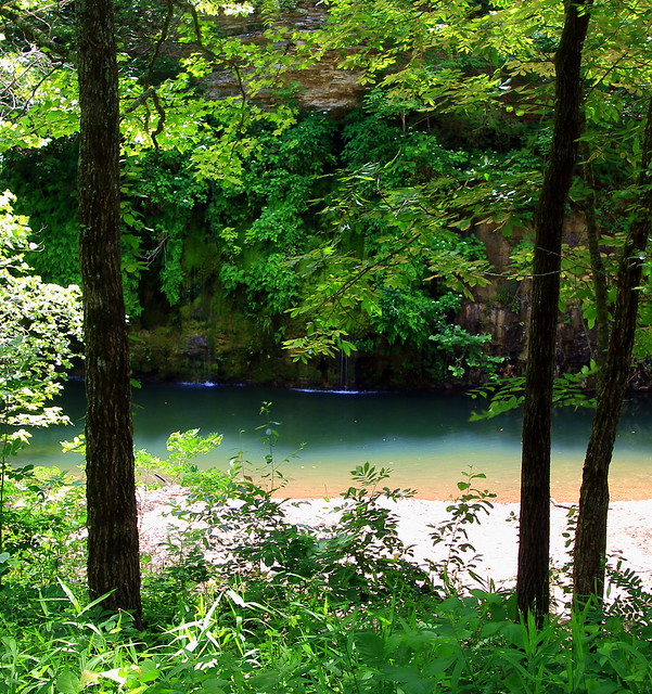 Cove Spring on Cove Creek - East of Erbie in Newton County, Arkansas