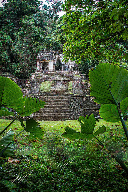 Au cœur des cités Mayas