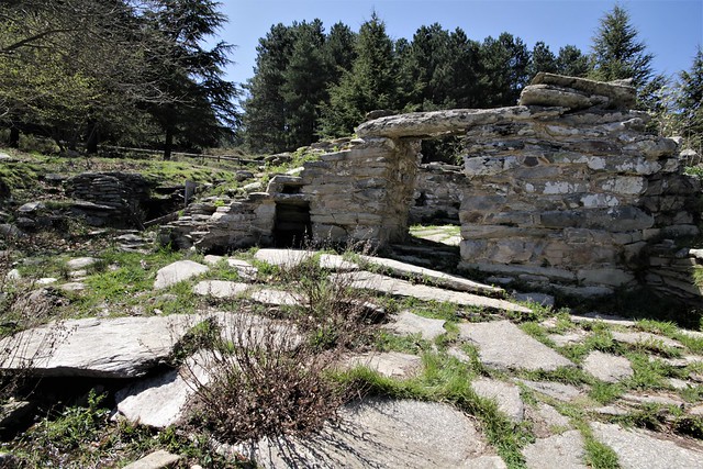 Santuario nuragico di Monte Nuxi, Esterzili