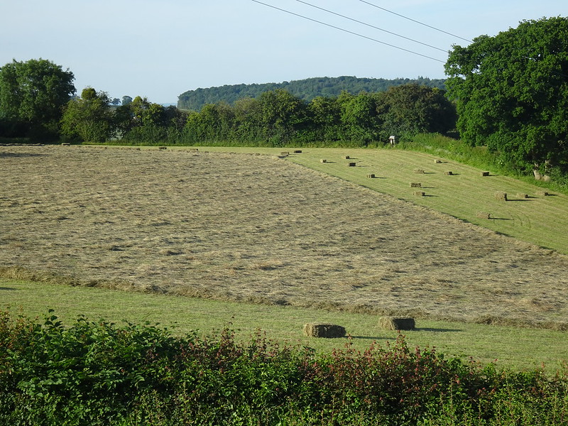 Hay baling in Kiln Field